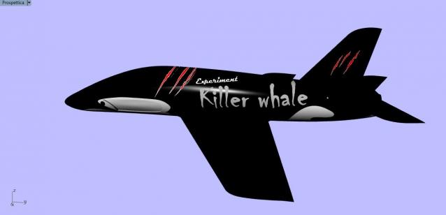 Sportjet Experiment killer whale livery