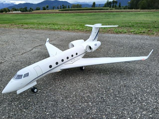 Freewing pj50 private jet 2x70 mm 6s 