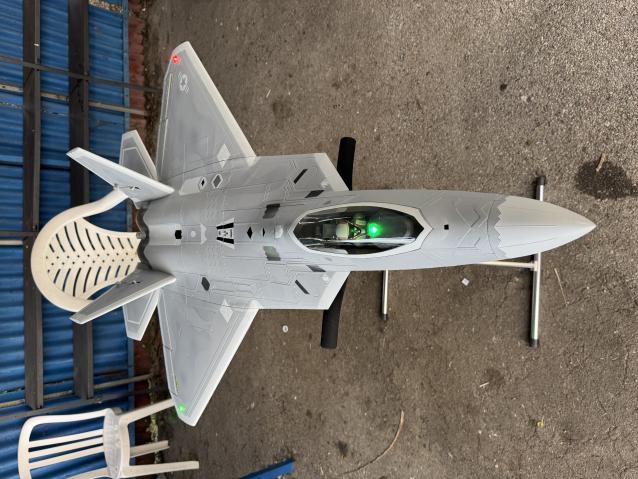Freewing F-22 Raptor 80 mm con giroscopio