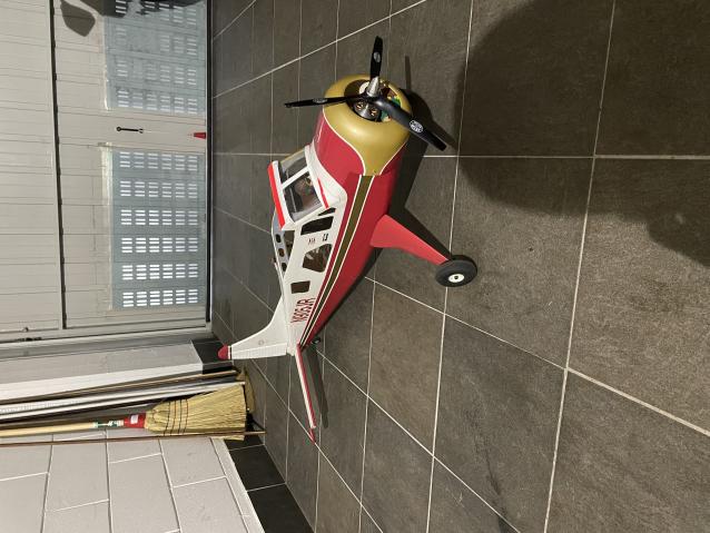 Eflite Beaver