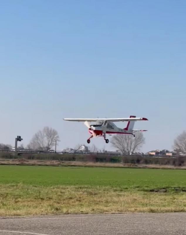 Black Horse PZL-104 WILGA 