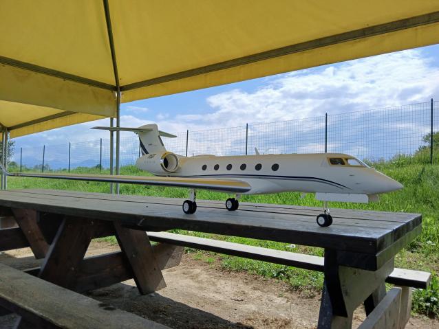 Pj50 freewing 2x70 edf private jet 6s
