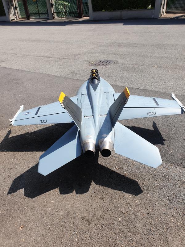 F18 Fj Jolly Rogers  Su-27 biturbina