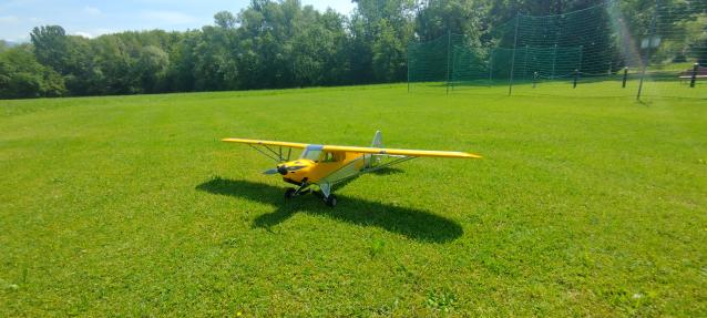 Hangar9 Carbon cub 15cc