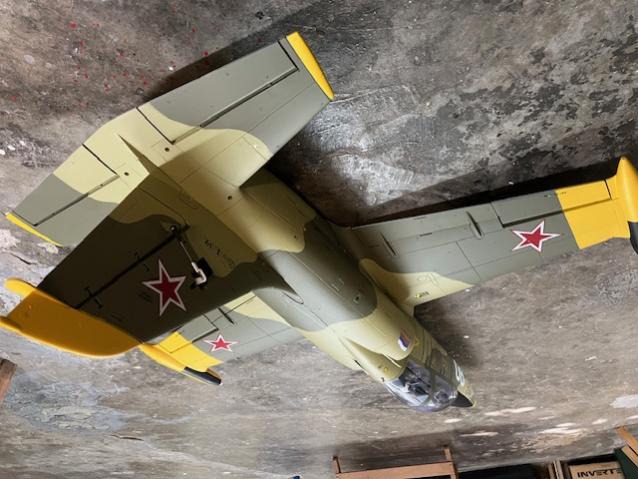 L 39 Camo