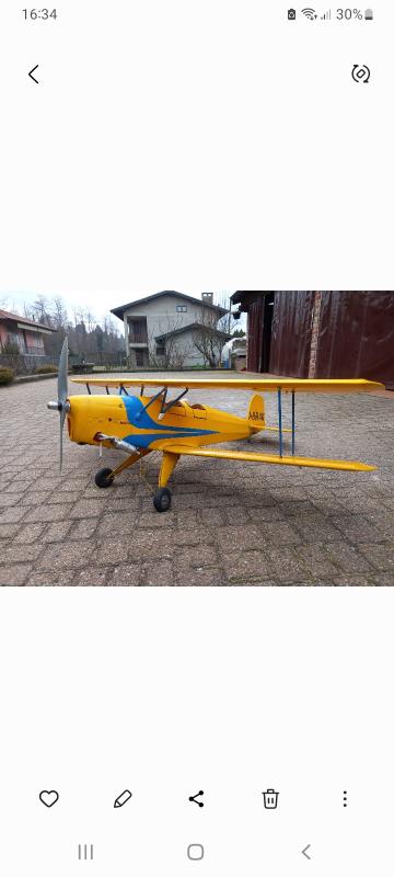 Bucker bertolani 