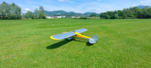 Hangar9 Carbon Cub 15cc