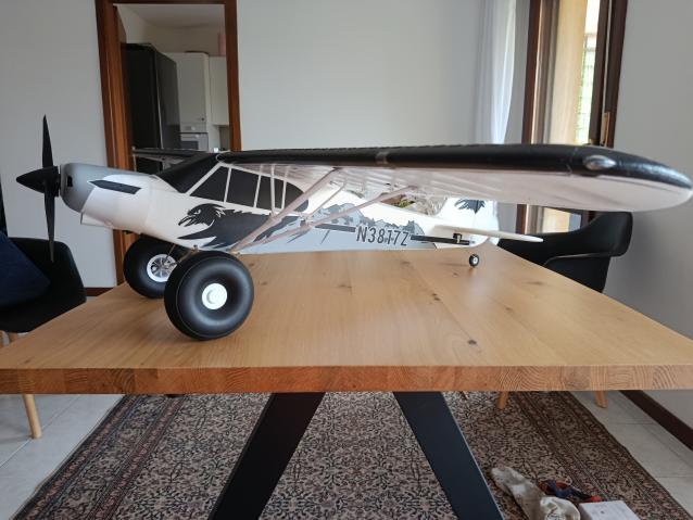 Fms SUPERCUB PA-18 trainer