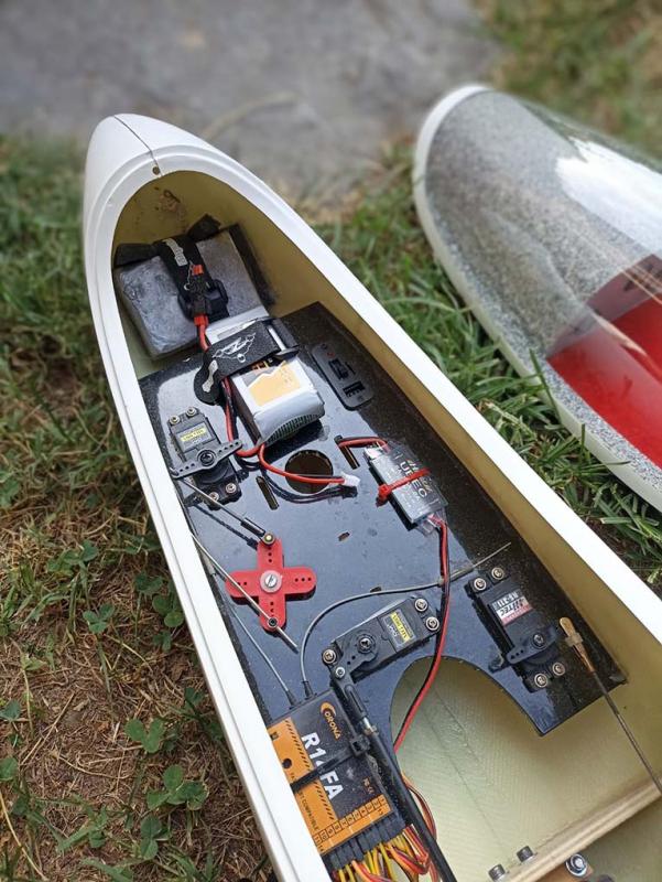 ASG 29 4mt Royal Model