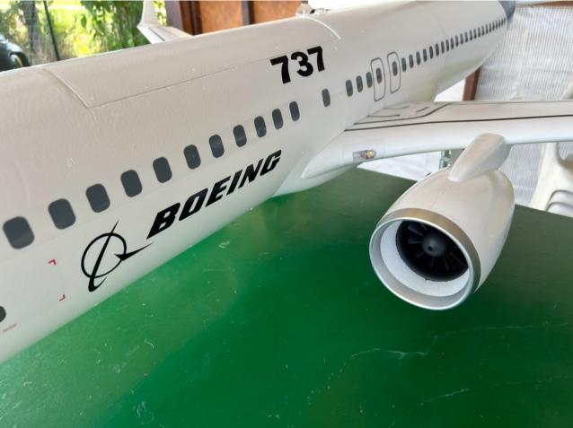 AL37 Airliner Freewing