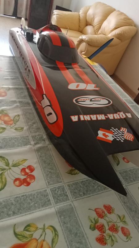 Catamarano a benzina nuovo