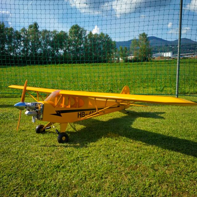 Piper Cub 1/3