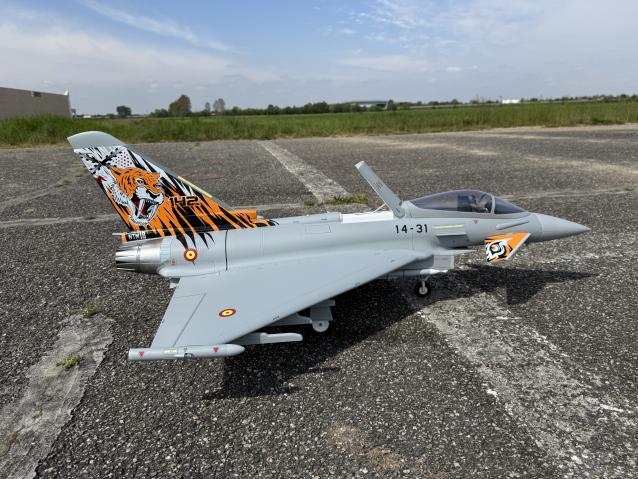 Freewing Eurofighter 90mm PNP 