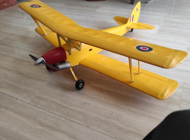 TIGER MOTH