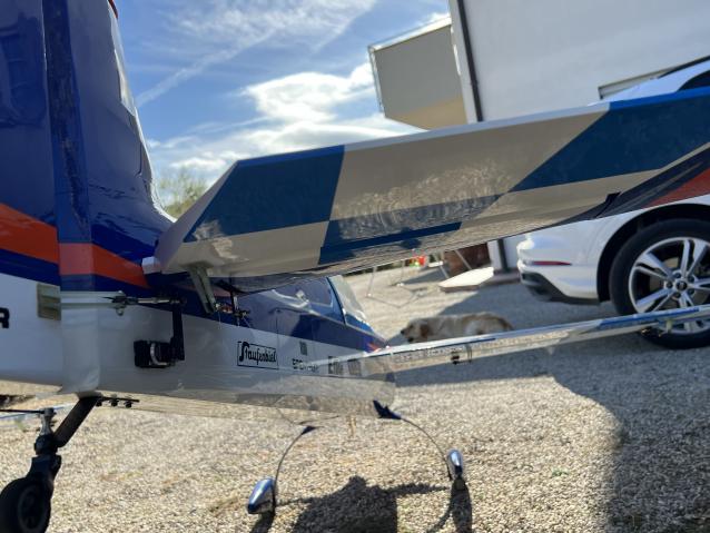 Extreme Flight Extra 300 104