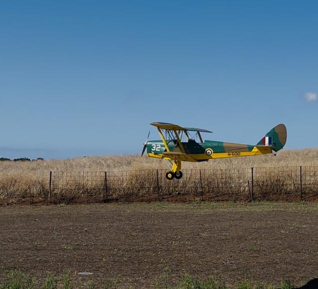Tiger Moth 2,4 Mt
