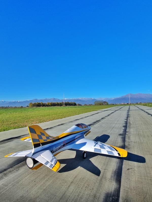 Freewing avanti s 80 + 2 lipo 6s