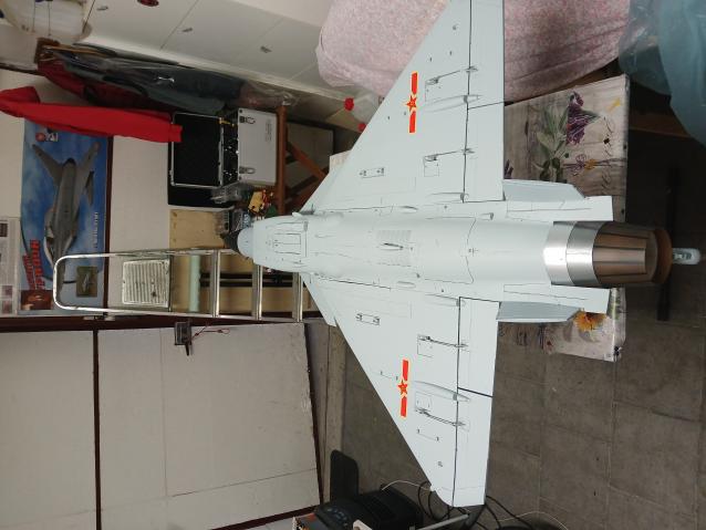 Freewing j10-A 90 mm fighter edf jet 6s 
