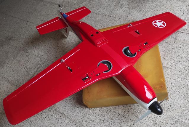 Phoenix Strega MK2 NUOVO pronto al volo a Euro 270