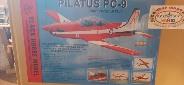 Vendo pc9 black  horse  da 2m 