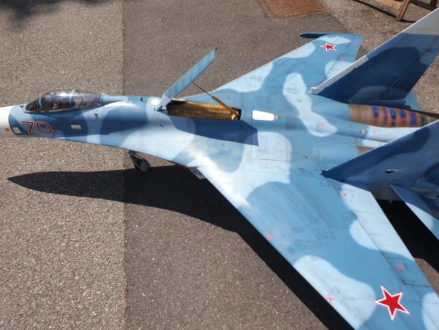 Su 27  F18  jolly Rogers