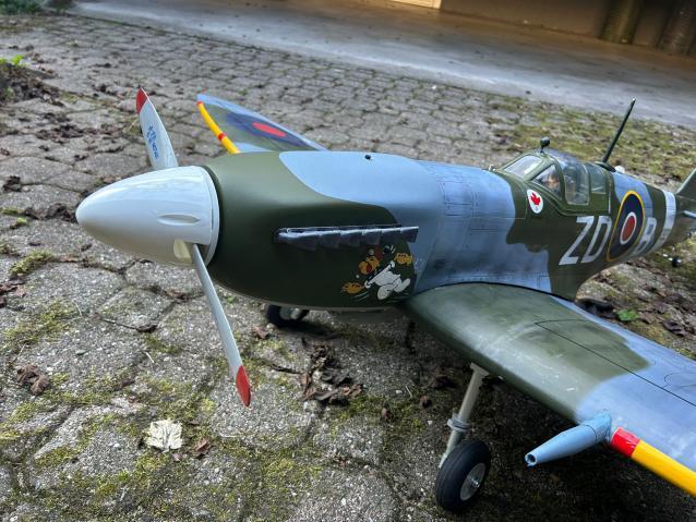 SPITFIRE Phoenix model .46-.55 