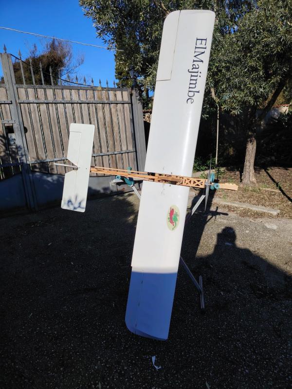 Aliante Riproduzione Aliante Z�gling SG 38 Tedesco