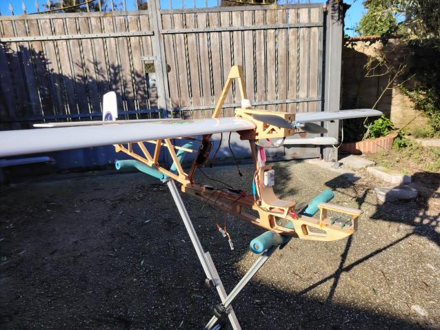 Aliante Riproduzione del Famoso Aliante Z�gling SG 38 Tedesco