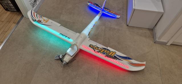 Hobbyking walrus night RR