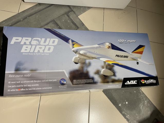 PYlon prodi bird Great planes