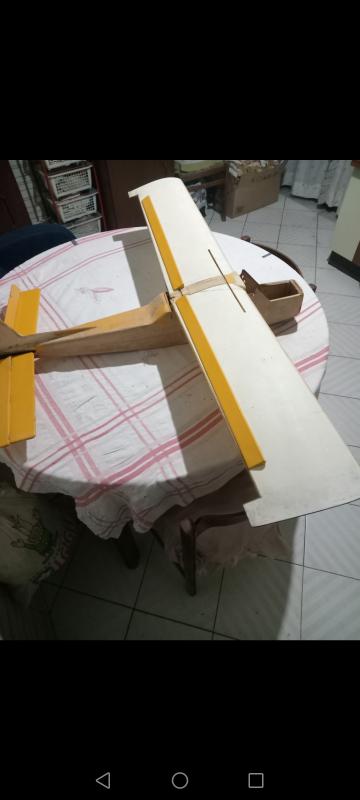 SVENDO:Aeromodello Ala Alta GINCA. 