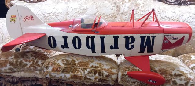 Biplano Pitts della Pilot