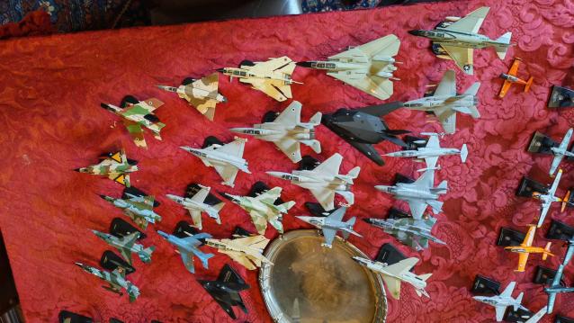 Ricca collezione di modellini