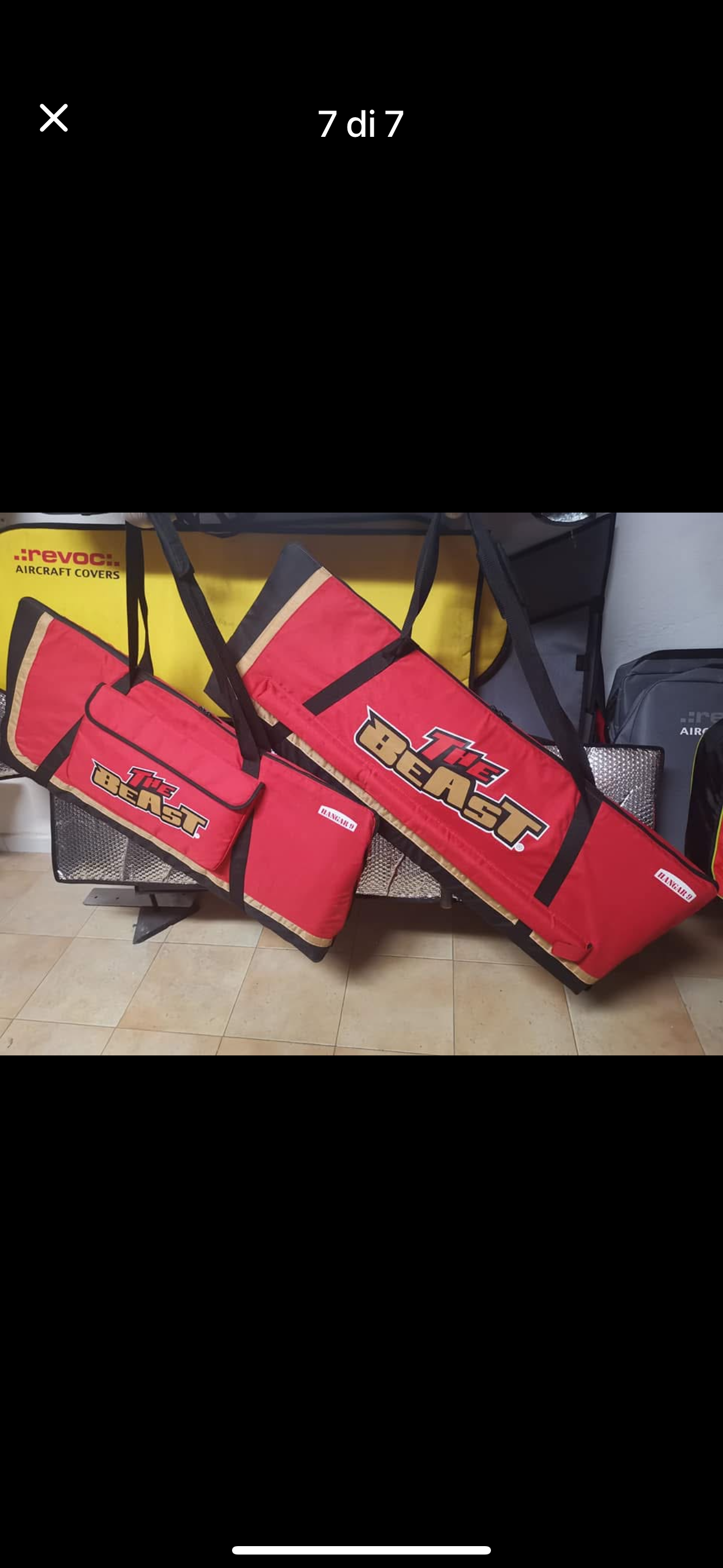 THE BEAST - HANGAR 9 - a.a.2.20 mt