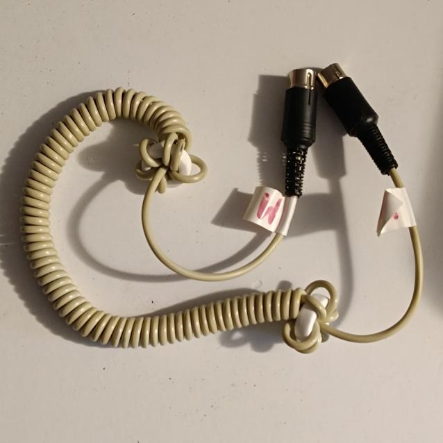 Cavo Multiplex allievo maestro 