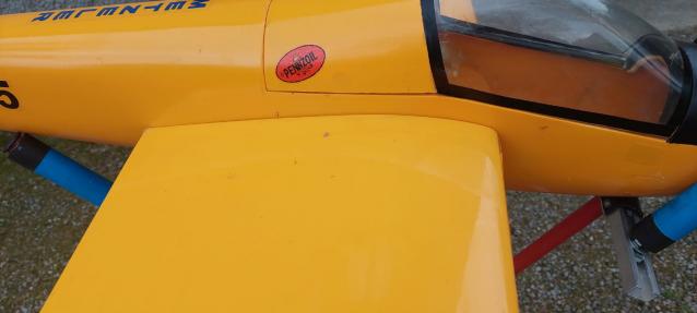 ALIANTE SCHWEIZER 1_26 RC GLIDER AA 2600 MM