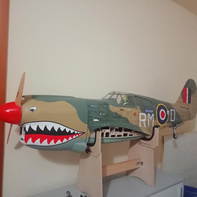 P40 Phoenix model 