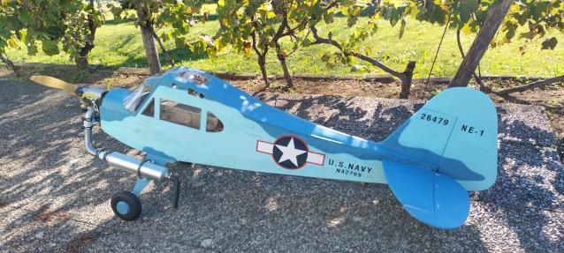 Piper cub Navy Phoenix Model