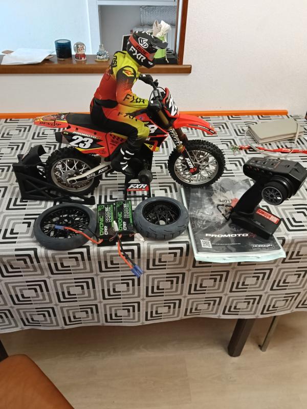 Losi Promoto