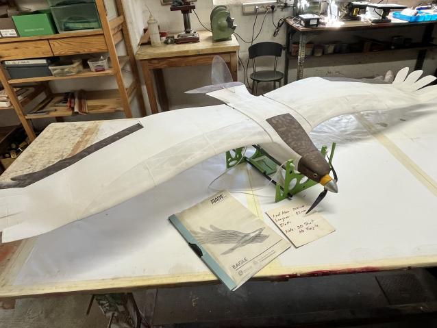 Elettrico 3D printed - Eagle