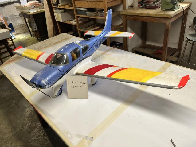 Cirrus Elettrico - Poli