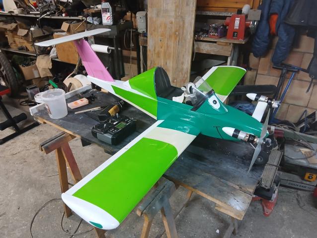 Vendo cri cri  apertura  1,3m pronto al volo 