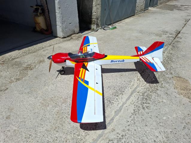 Trainatore  bortok