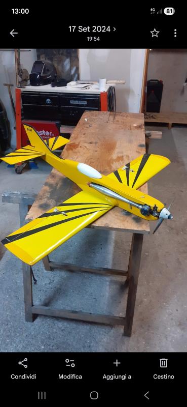 Modello autocostruito con miss 4cc con espansione  velocissimo disponibile  video 