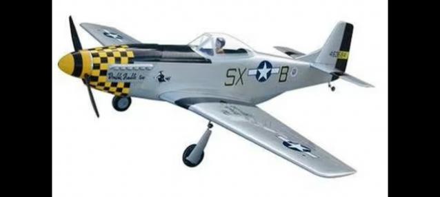Mustang P51D G160 TWM
